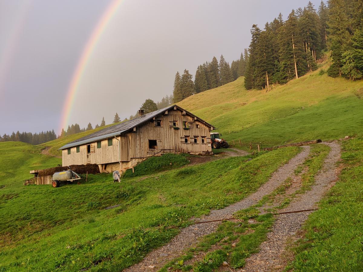 Regenbogen Alpe Lindach
